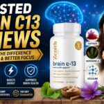 brain c13 reviews