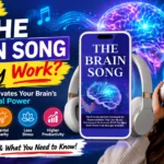 Is The Brain Song a Scam